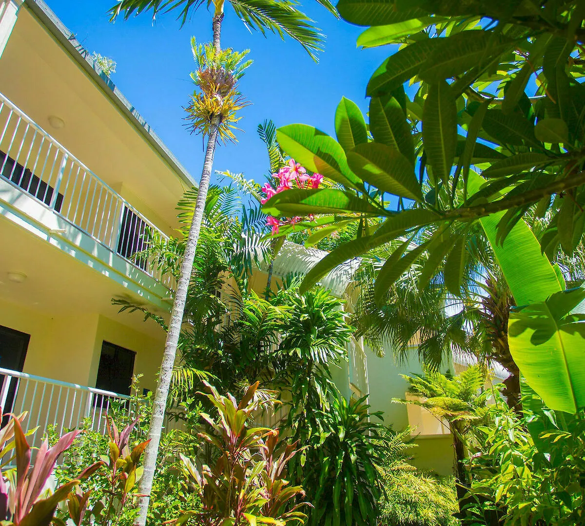 ****  פאלם קוב Melaleuca Resort אוסטרליה