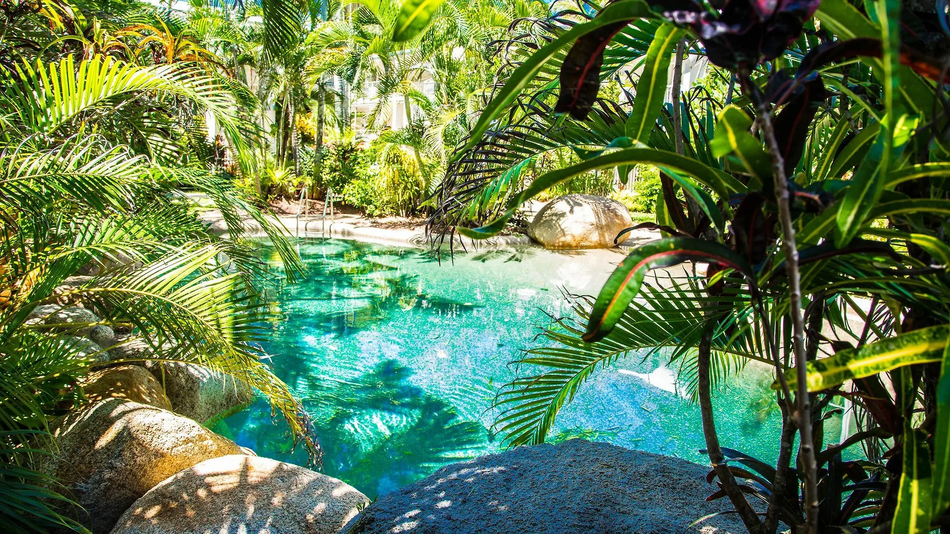 פאלם קוב Melaleuca Resort